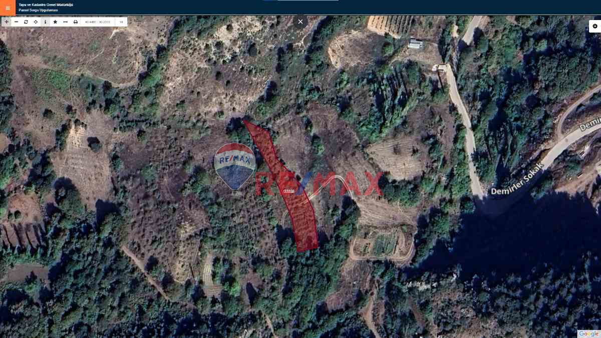 SAKARYA GEYVE DEMIRLER KÖYÜ FINDIK BAHÇESI