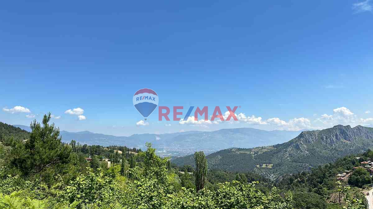 SAKARYA GEYVE DEMIRLER KÖYÜ FINDIK BAHÇESI