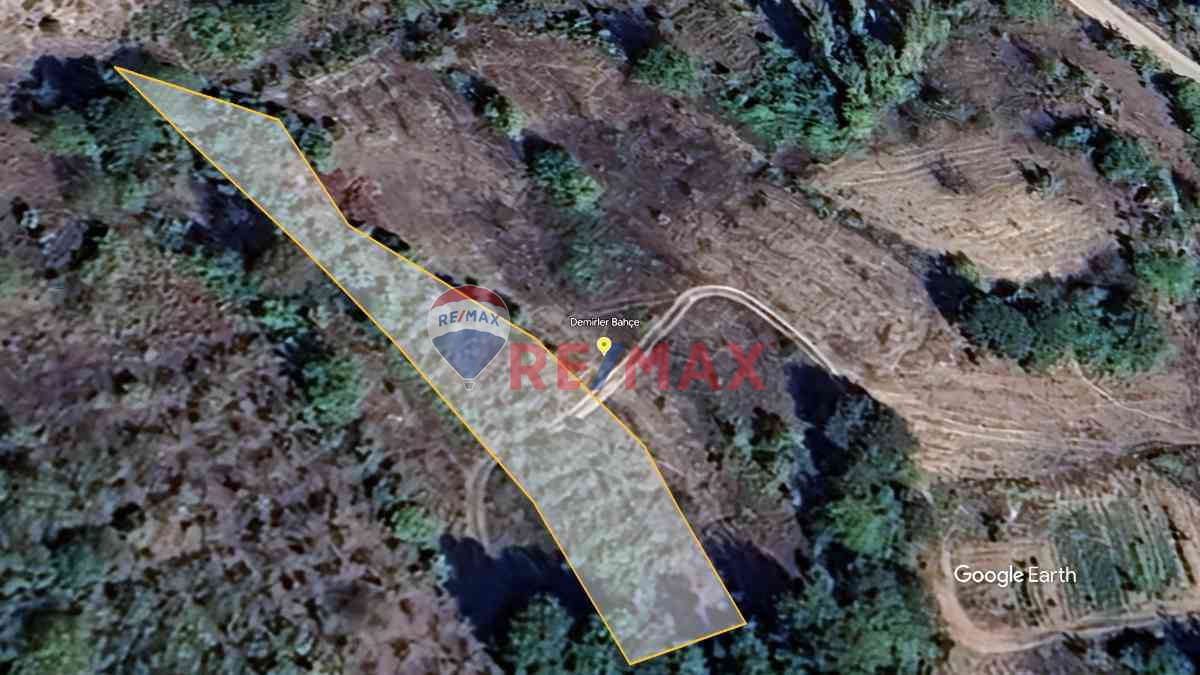 SAKARYA GEYVE DEMIRLER KÖYÜ FINDIK BAHÇESI