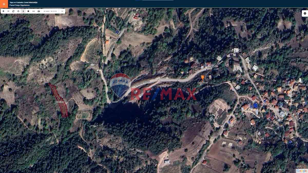 SAKARYA GEYVE DEMIRLER KÖYÜ FINDIK BAHÇESI