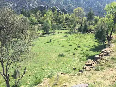 AKSEKI MAHMUTLU’DA HAVADAR VE SERIN KONUMDA, DOĞAL SU KAYNAKLI SATILIK TARLA
