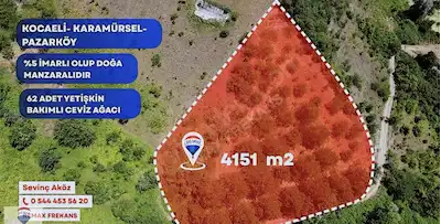 RE/MAX FREKANSTAN PAZARKÖYDE %5 İMARLI 4 DÖNÜM YETİŞMİŞ CEVİZLİK