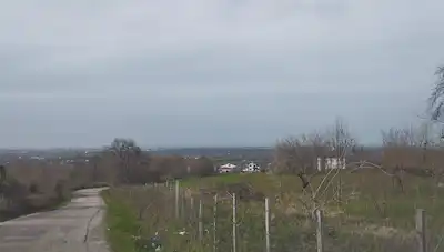 TEKKEKÖY KÖY İÇİ YERLEŞİK ALANDA YATIRIMLIK TARLA-KIŞLA MAH.