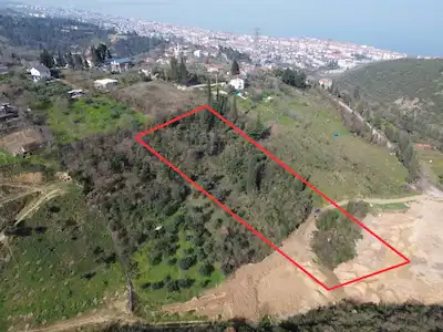 REMAX KANYON'DAN ÇAMÇUKUR DA 4556M2 TARLA.