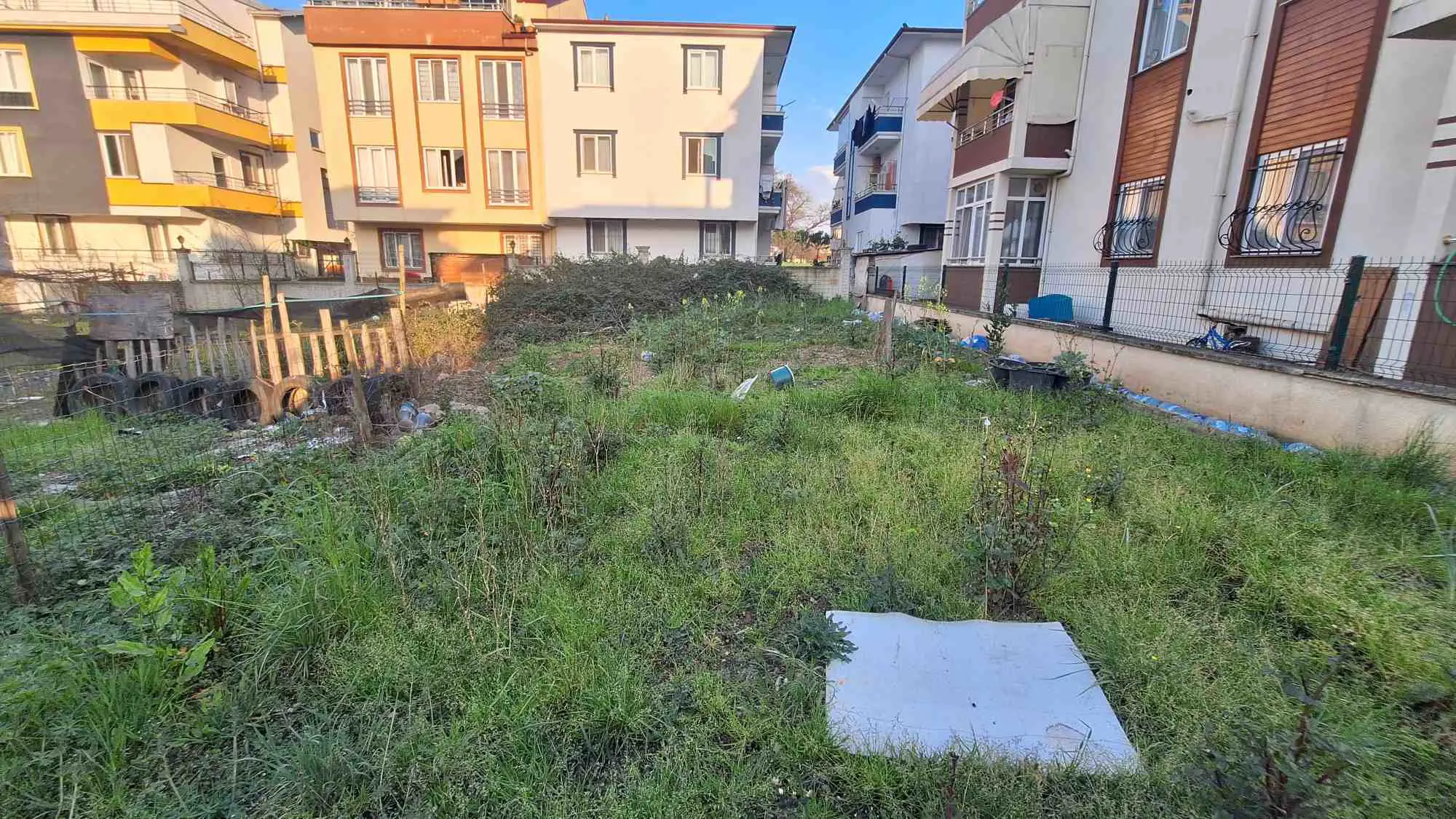 Property image 16