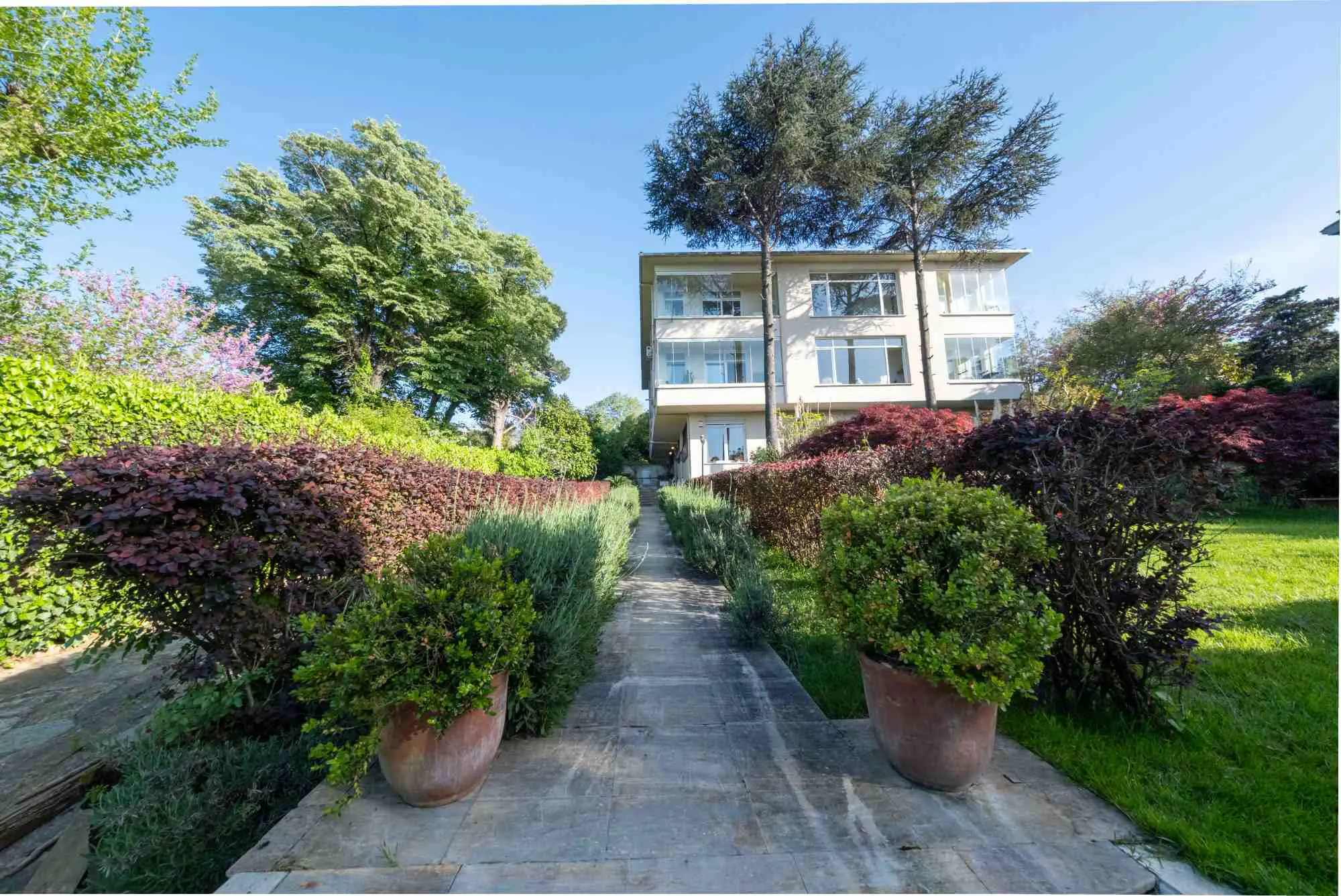 Property image 42