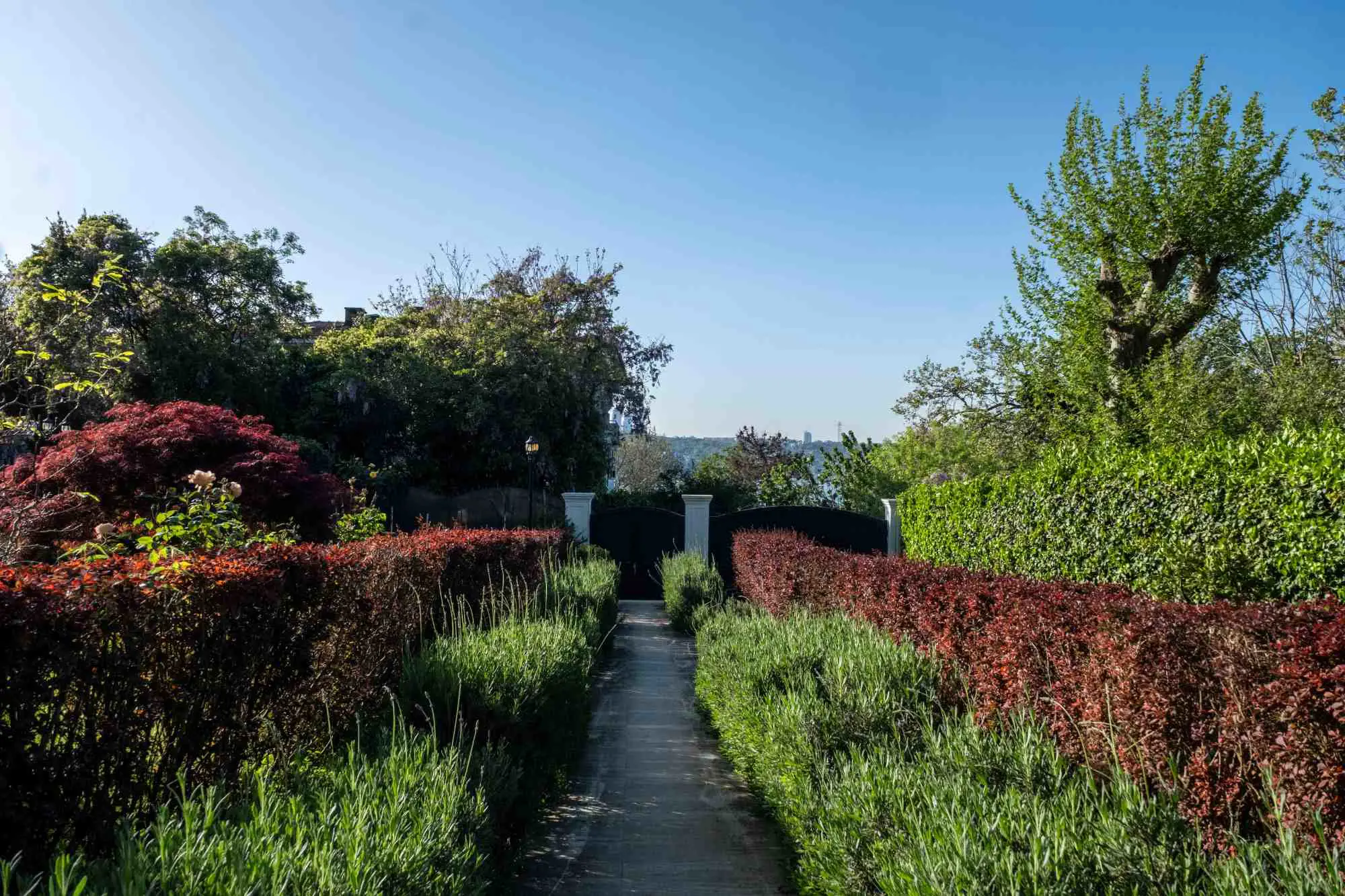 Property image 41