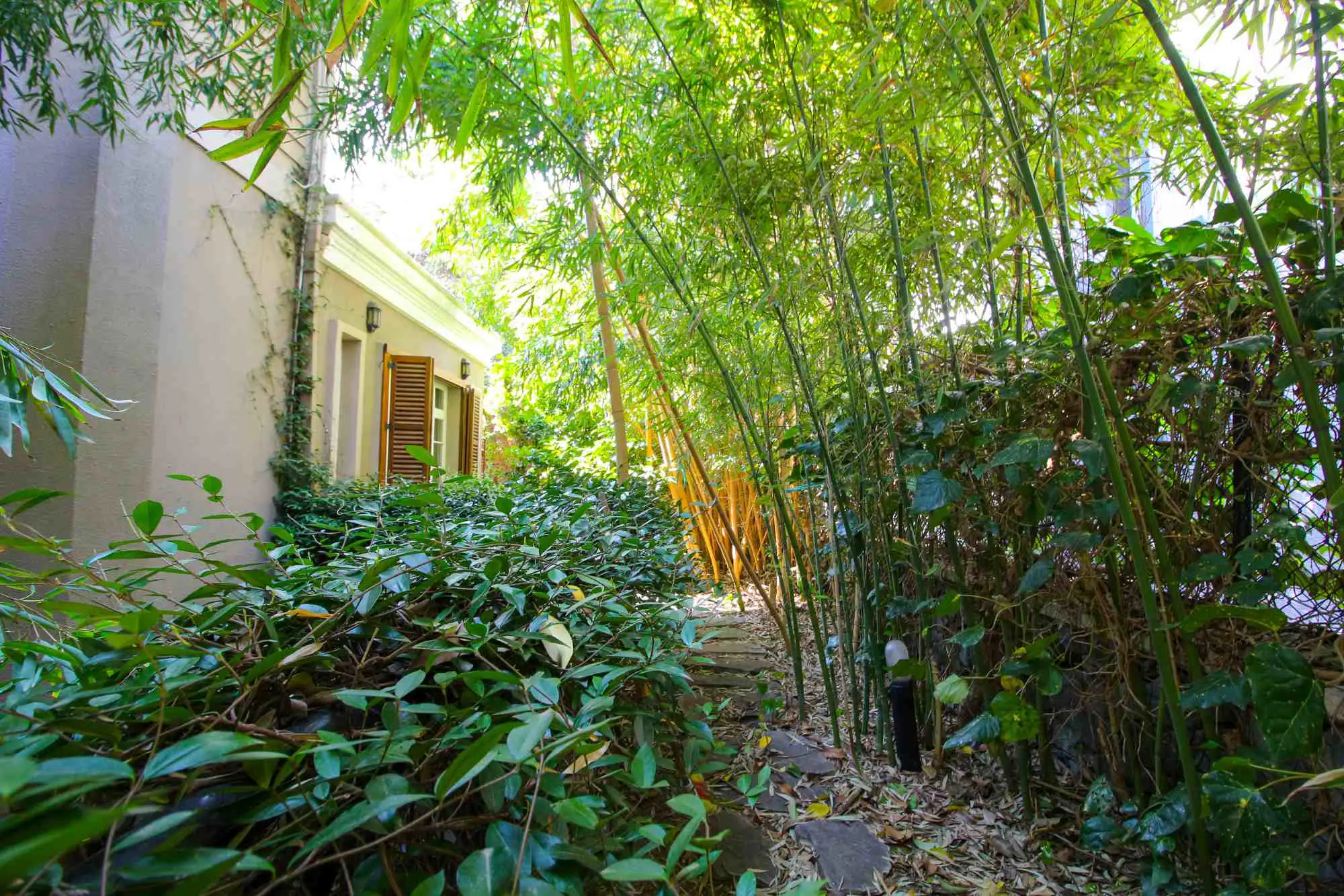 Property image 39