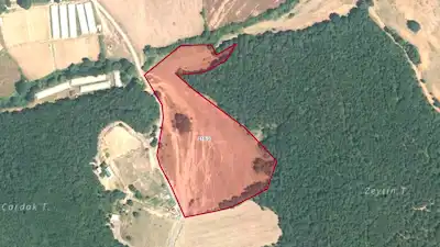 GEBZE OVACIK'TA TEPEÖREN KOMŞUSU ORMANA SIFIR YOLA CEPHE 17.915M