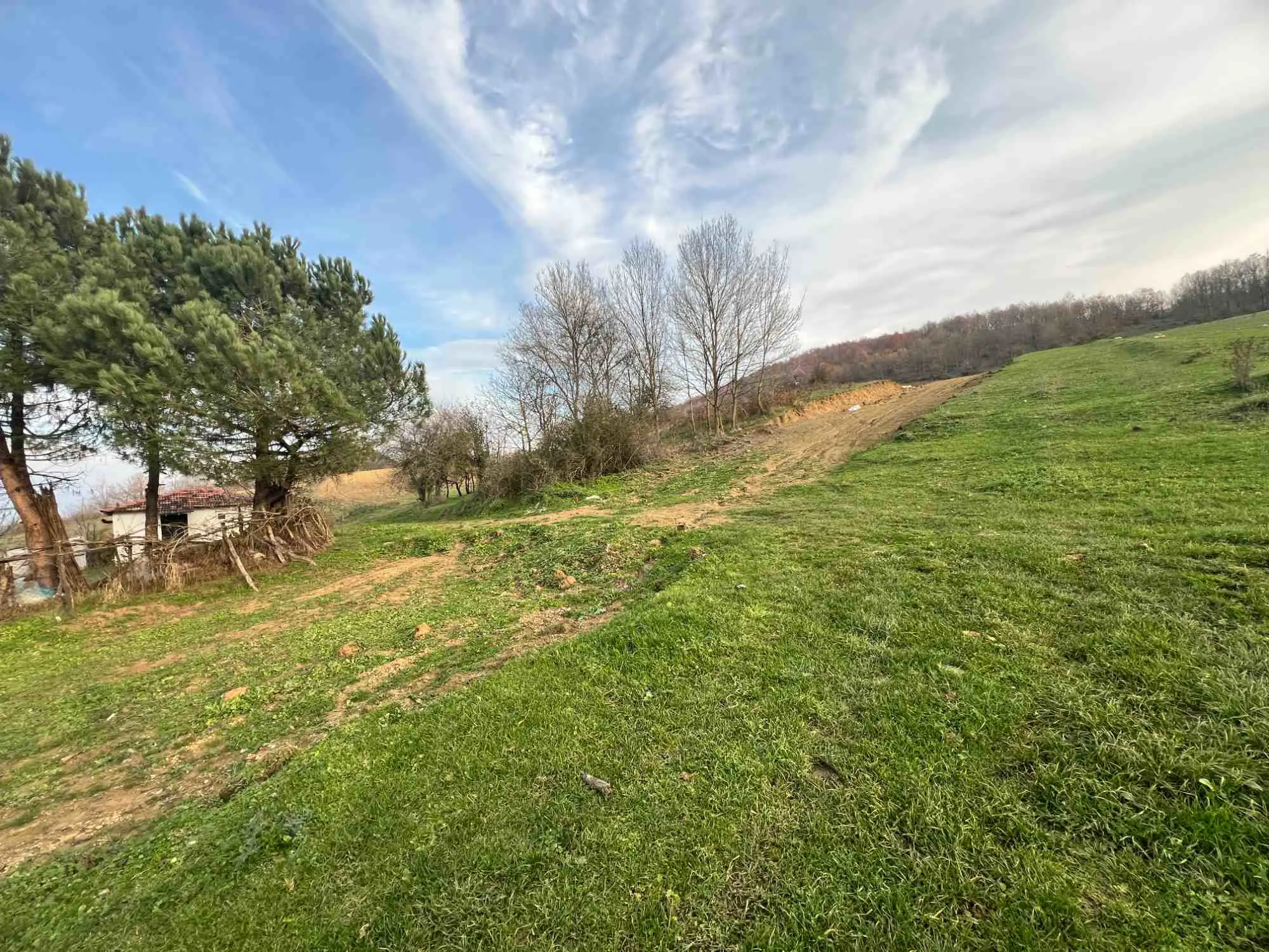 Property image 28