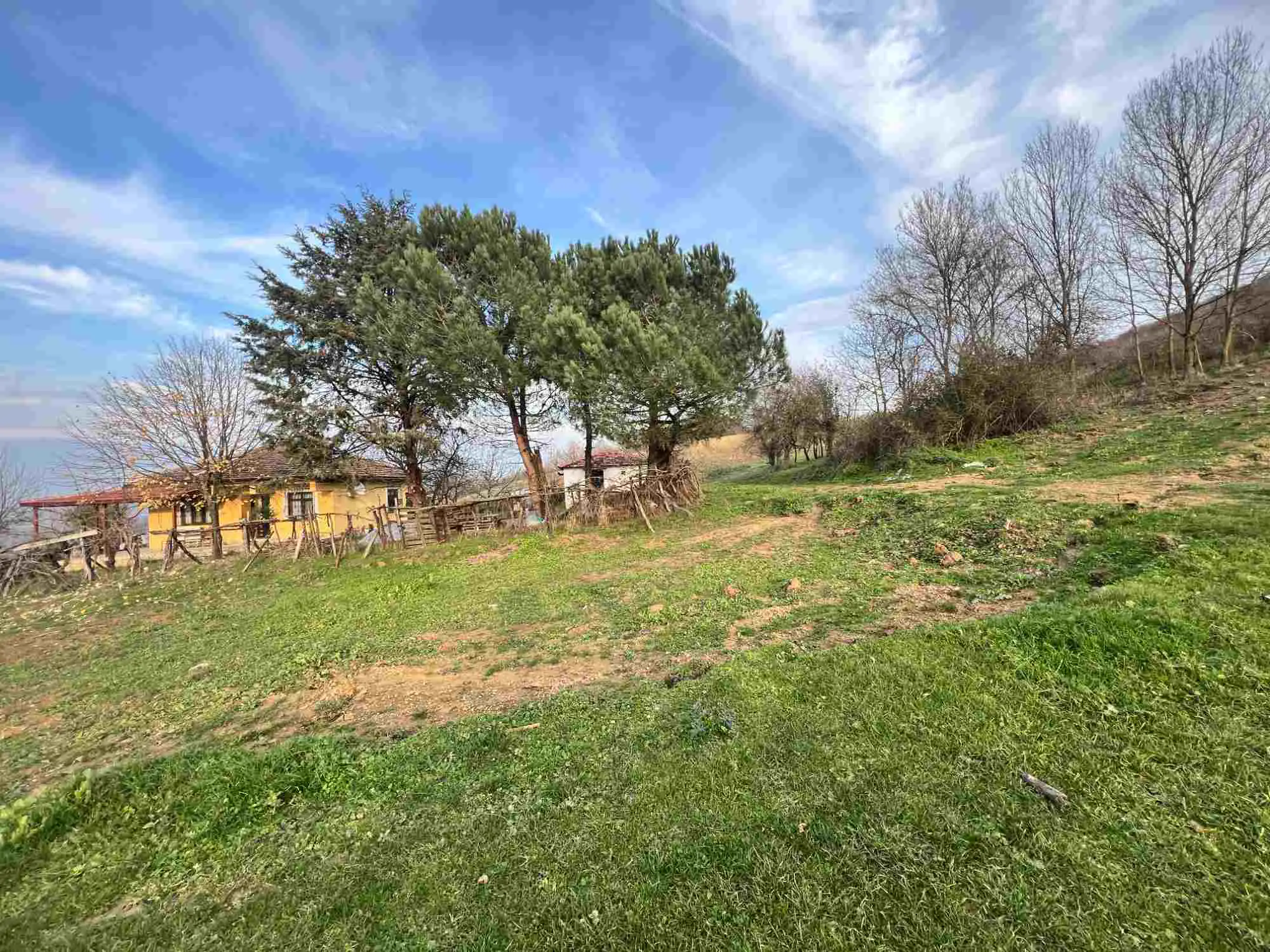 Property image 26