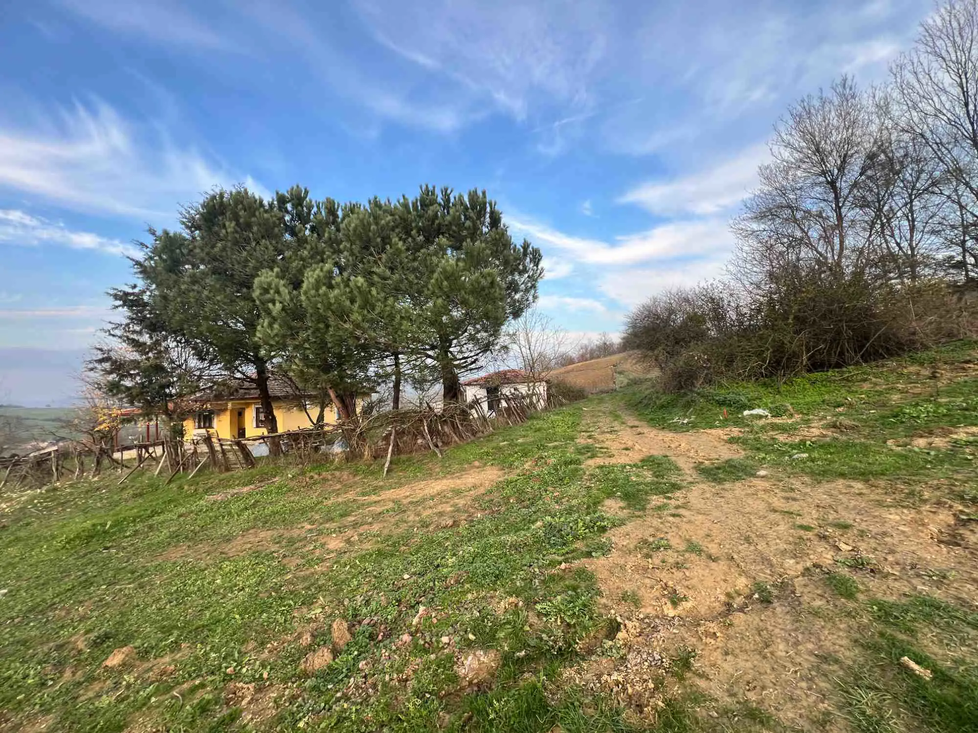 Property image 8
