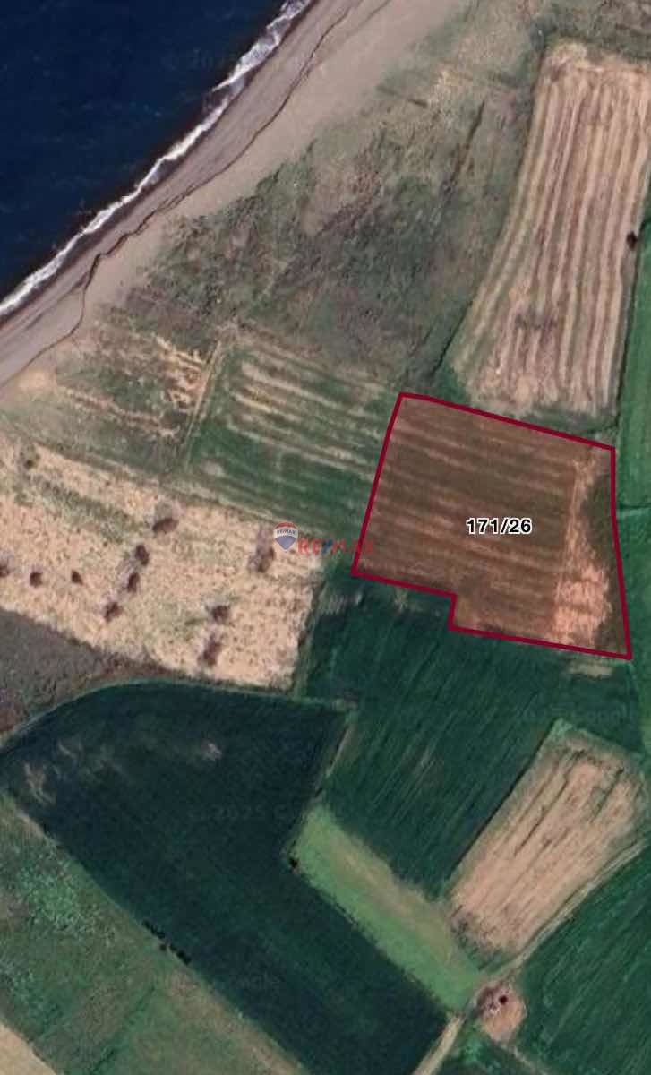 ÇANAKKALE AYVACIK'DA DENİZE 92M UZAKLIKTA 4.627.71M2 TARLA