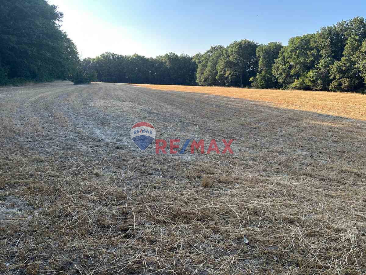 REMAX LAVANDA’DAN TEKİRDAĞ-SARAY’DA SATILIK TARLA