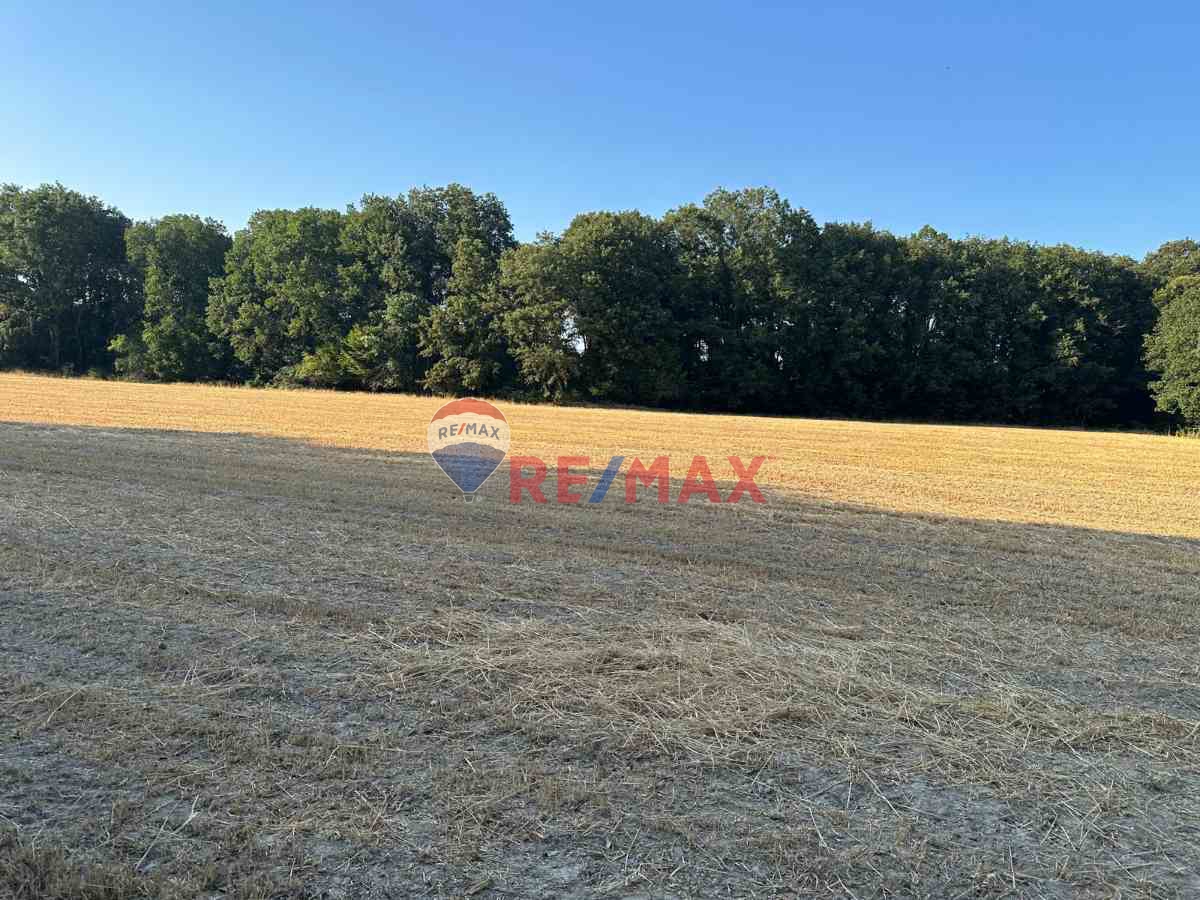 REMAX LAVANDA’DAN TEKİRDAĞ-SARAY’DA SATILIK TARLA