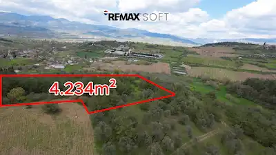 REMAX SOFT BARIŞ BAŞOL'DAN GEYVE SAFİBEY'DE SATILIK 4.234M² TARLA