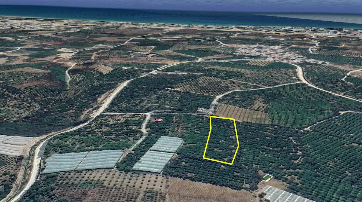 REMAX TOROS'TAN TECE'DE VERİMLİ LİMON BAHÇESİ-YATIRIMLIK FIRSAT