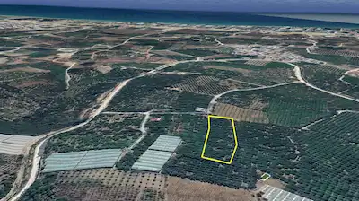 REMAX TOROS'TAN TECE'DE VERİMLİ LİMON BAHÇESİ-YATIRIMLIK FIRSAT