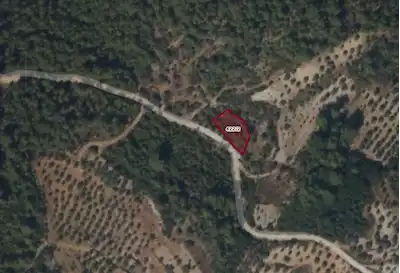MUĞLA MENTEŞE DAĞPINARDA DENİZE YAKIN ZEYTİNLİK