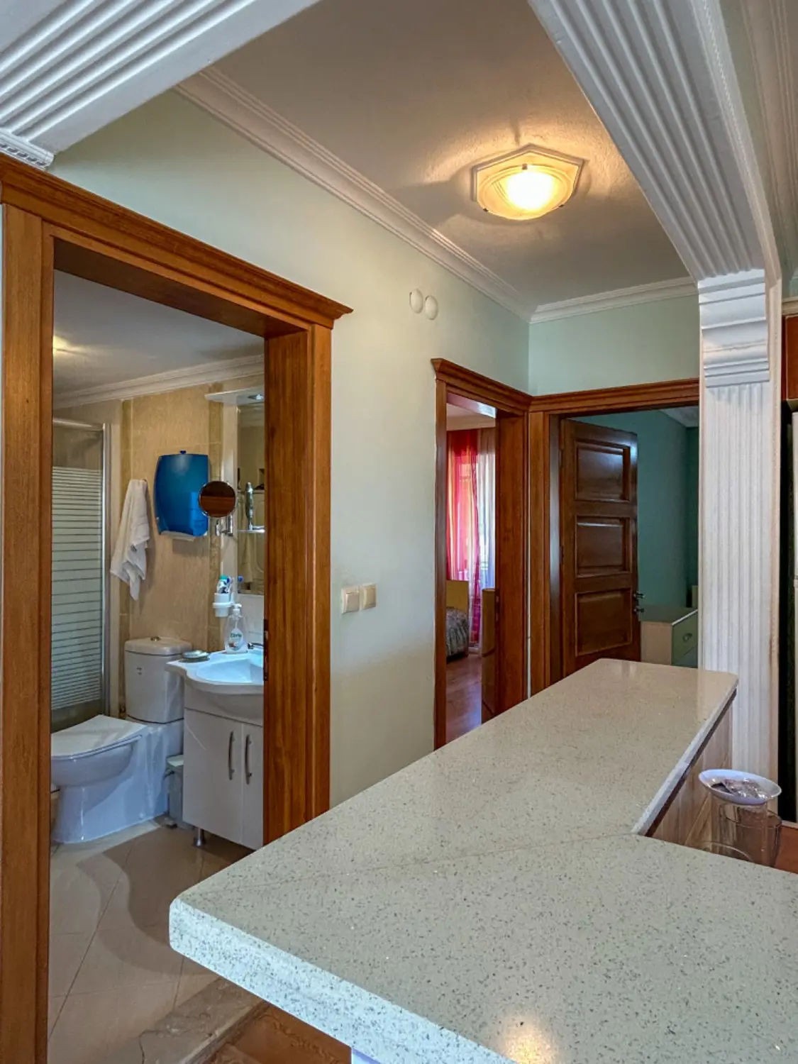 Property image 50