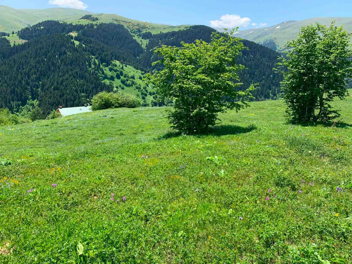 KÜMBET YAYLASI'NA 10 DK: CINS DEĞIŞIKLIĞI YAPILMIŞ, ALTYAPILI BUNGALOV/TURIZM İMARI 