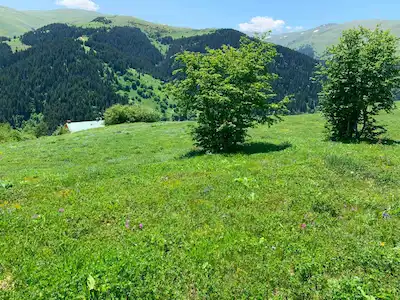 KÜMBET YAYLASI'NA 10 DK: CINS DEĞIŞIKLIĞI YAPILMIŞ, ALTYAPILI BUNGALOV/TURIZM İMARI 