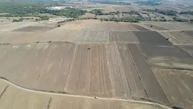 SİLİVRİ BÜYÜK SİNEKLİ 8.004,50 M² TEK TAPU KADASTRO YOLA CEPHE