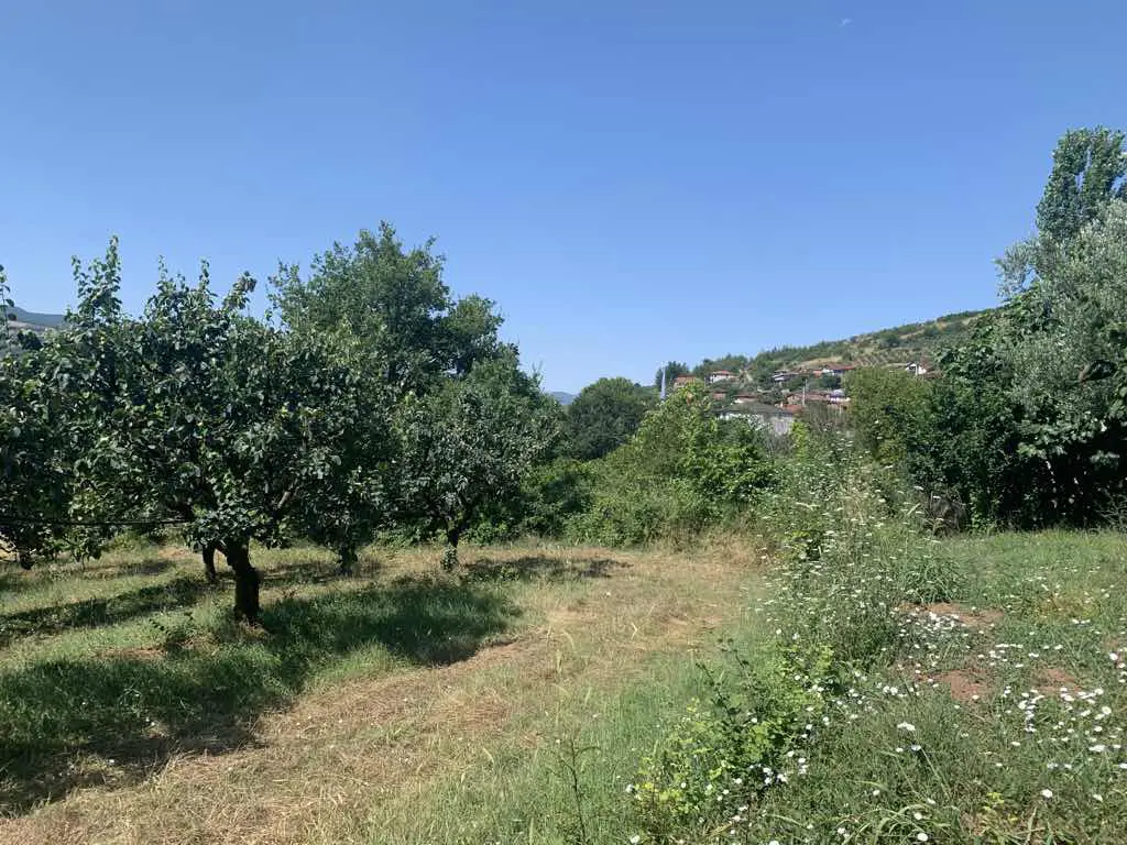 Property image 26