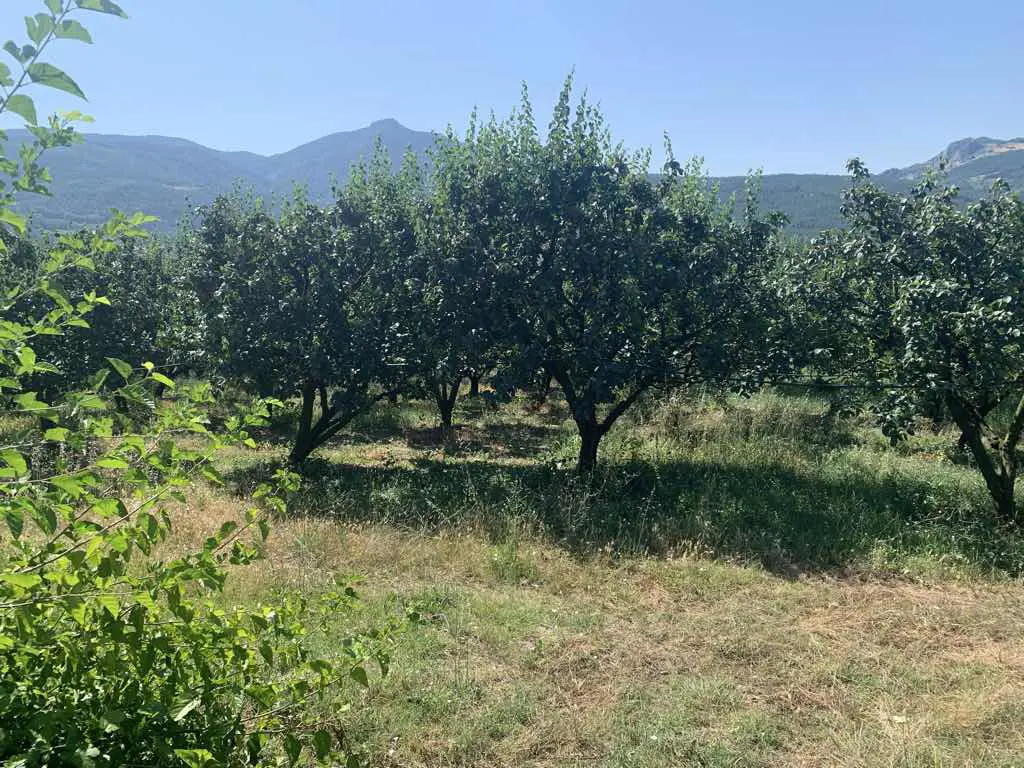 Property image 24