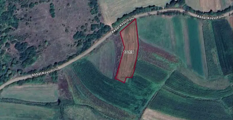 Property image 7