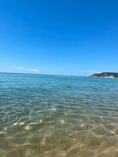 KUZEY EGENİN EN GÜZEL YERİNDE-YAYLAKÖY'DE VİLLA IMARLI ARSA...