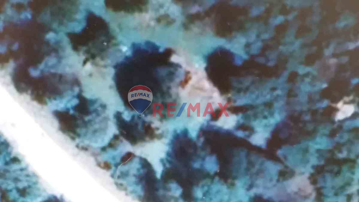 ÇANAKKALE ASSOS AYVACIK KOYUNEVİ 1258 M2 EŞSİZ DENİZ MANZARALI