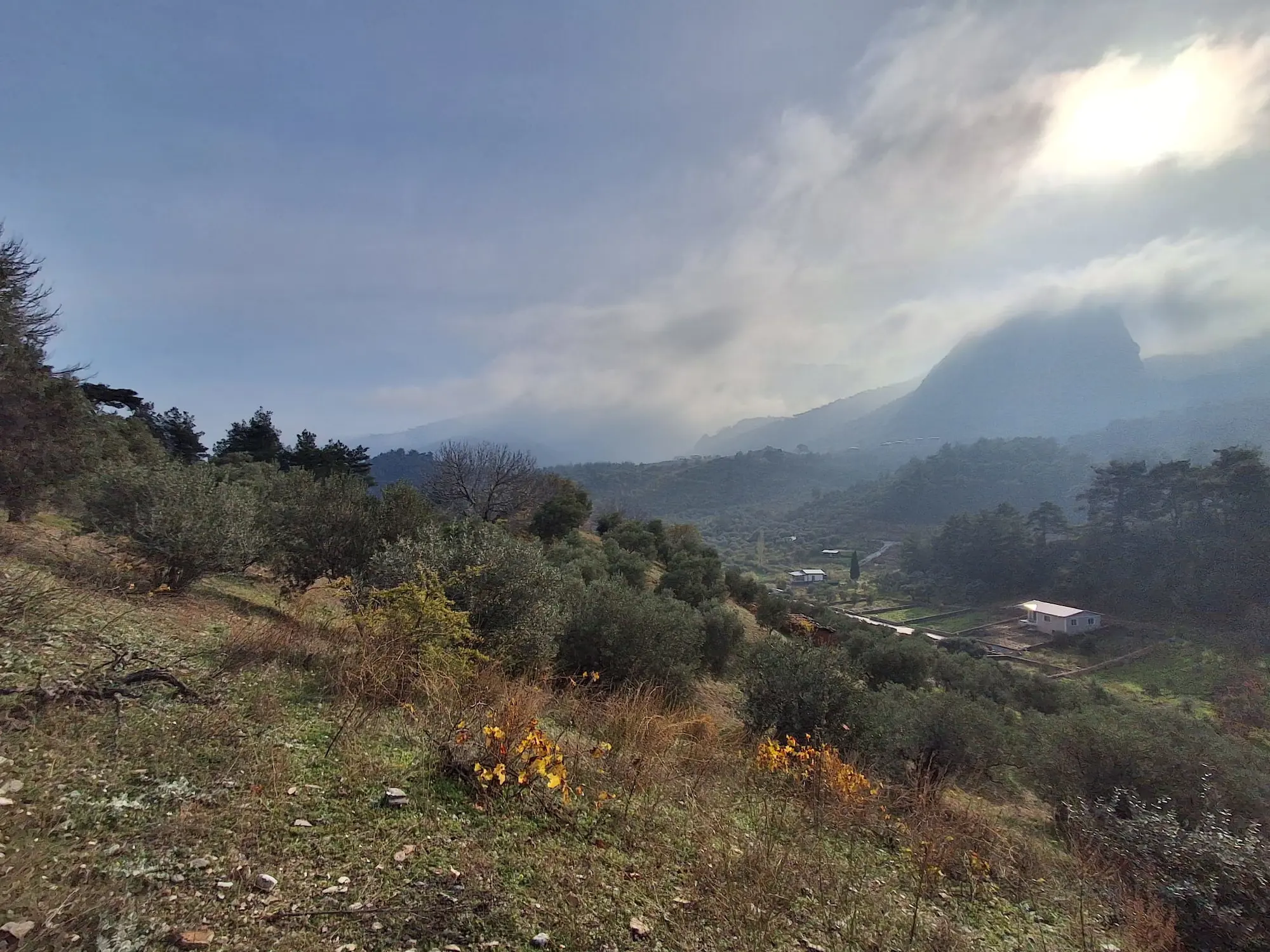 Property image 17