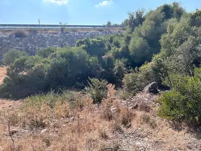 DIDIM AKYENİKÖY SEYRANTEPE;DE İMARLI ARSA