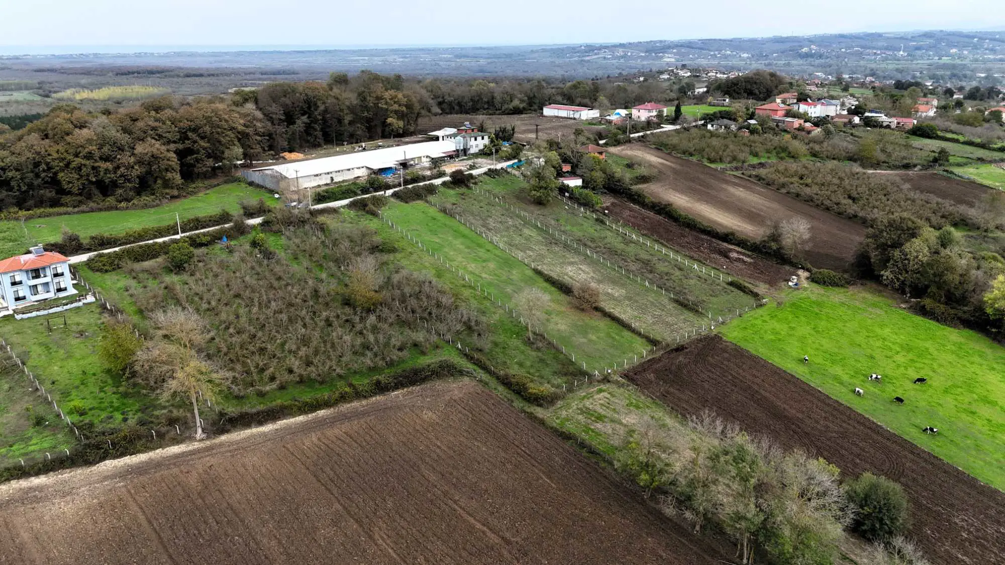 Property image 17
