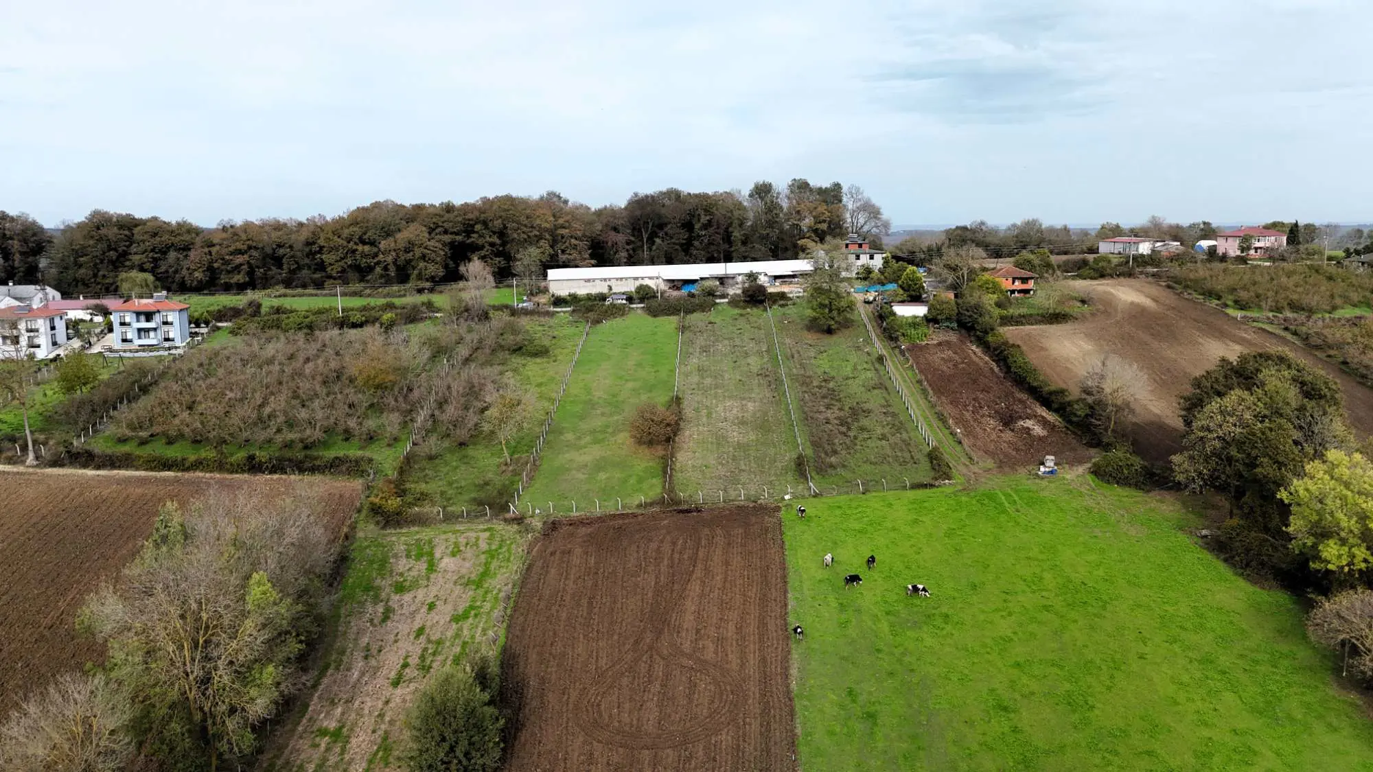 Property image 18
