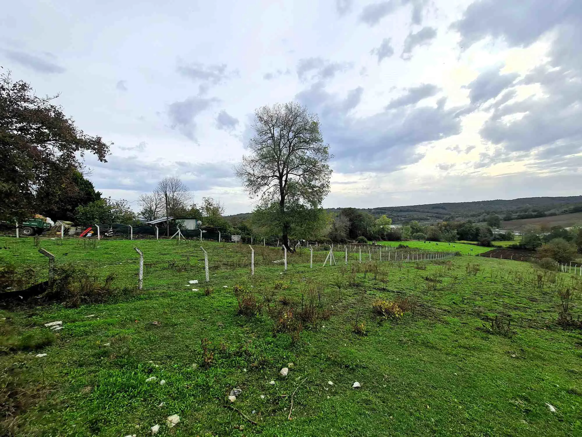 Property image 28