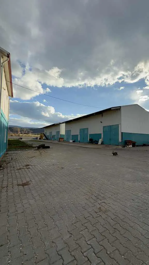 Property image 8