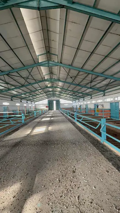 250 DÖNÜM ARAZİ İÇİNDE BÜYÜKBAŞ  HAYVAN ÇİFTLİĞİ