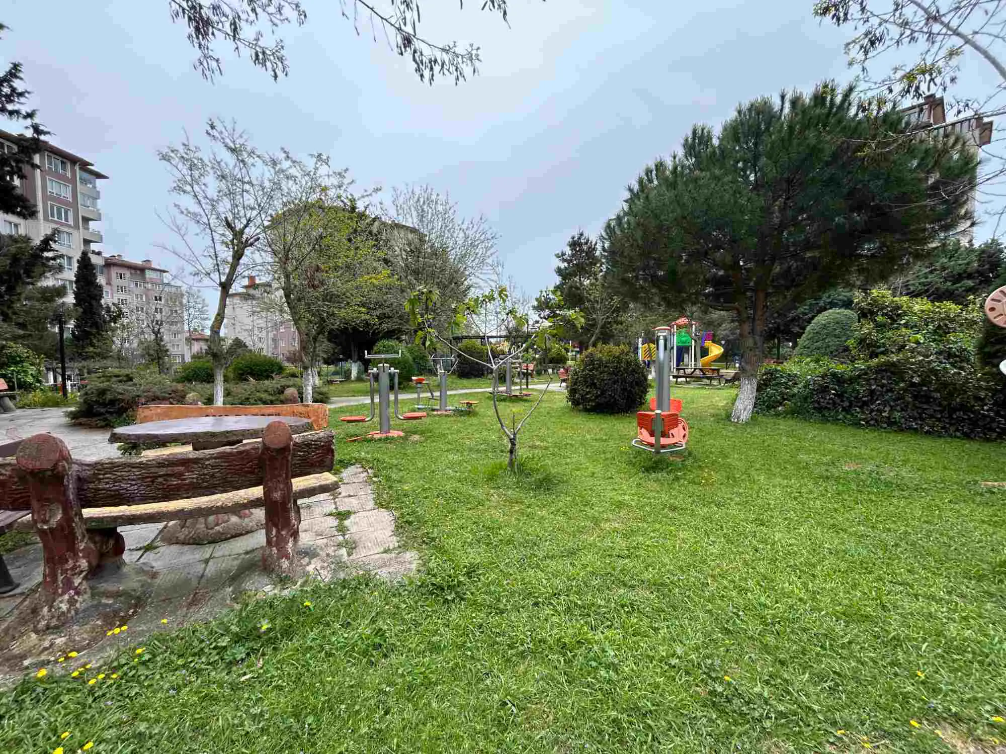 Property image 24