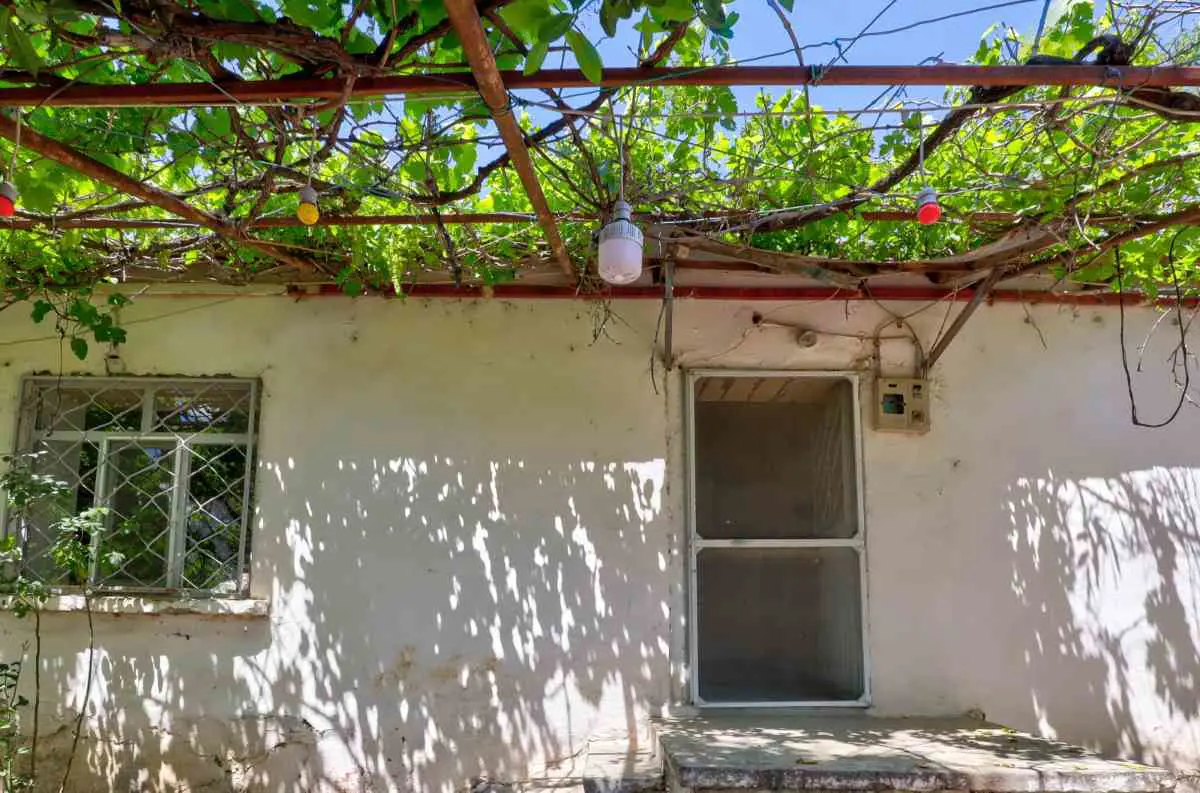 Property image 23