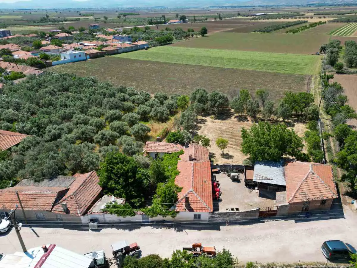 Property image 8