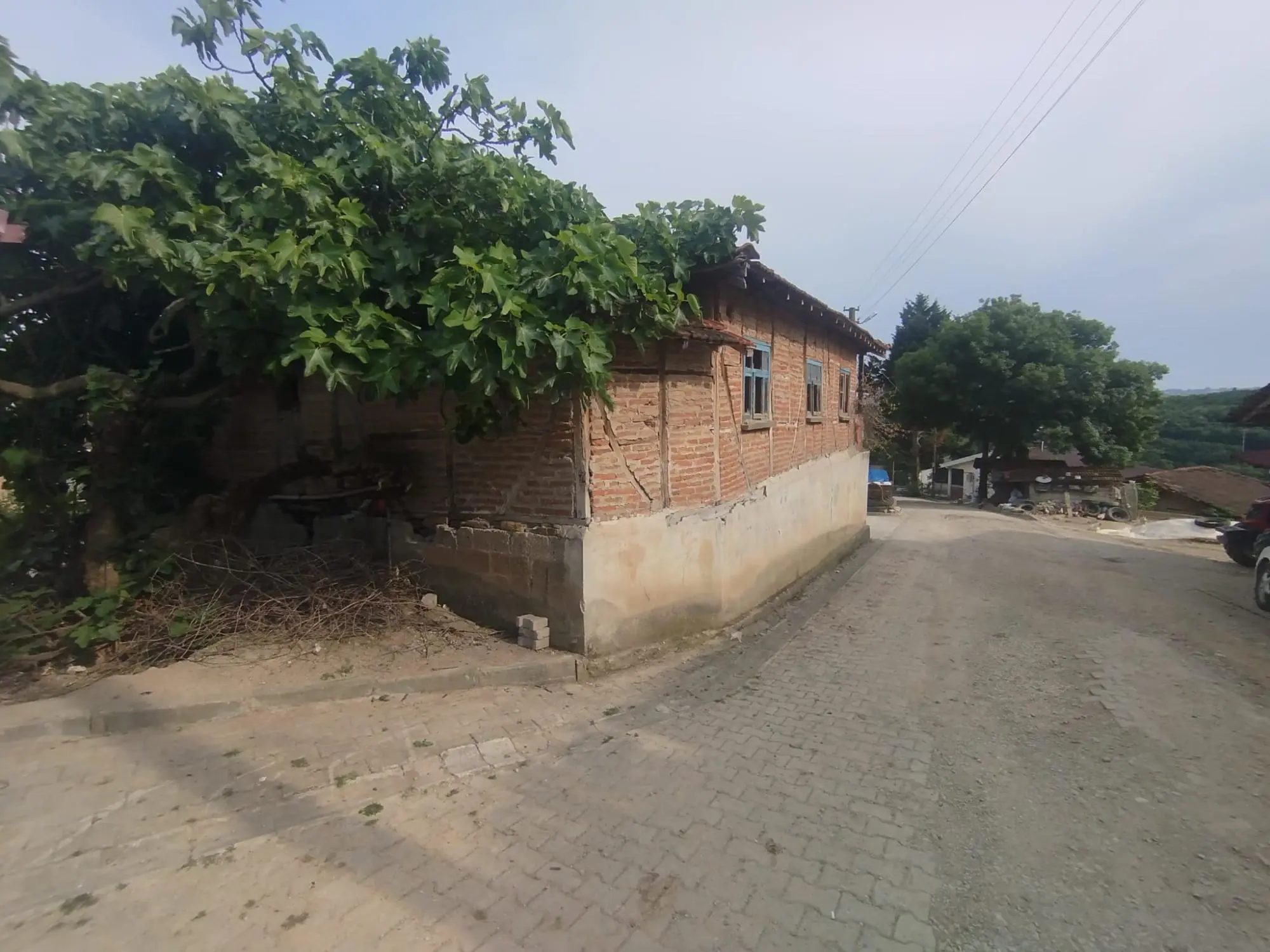 Property image 16
