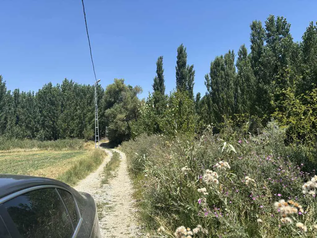 Property image 16