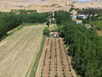 MALATYA DOĞANŞEHİR’DE KREDİYE UYGUN MÜSTAKİL PARSEL BAĞ & BAHÇE ARSASI (PARSEL: 182)