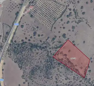 MANİSA DEMİRCİ'DE SALİHLİ SİMAV YOLUNA 180 METRE 8.763 M2 TARLA