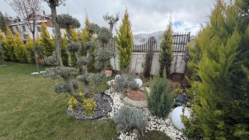 Property image 17