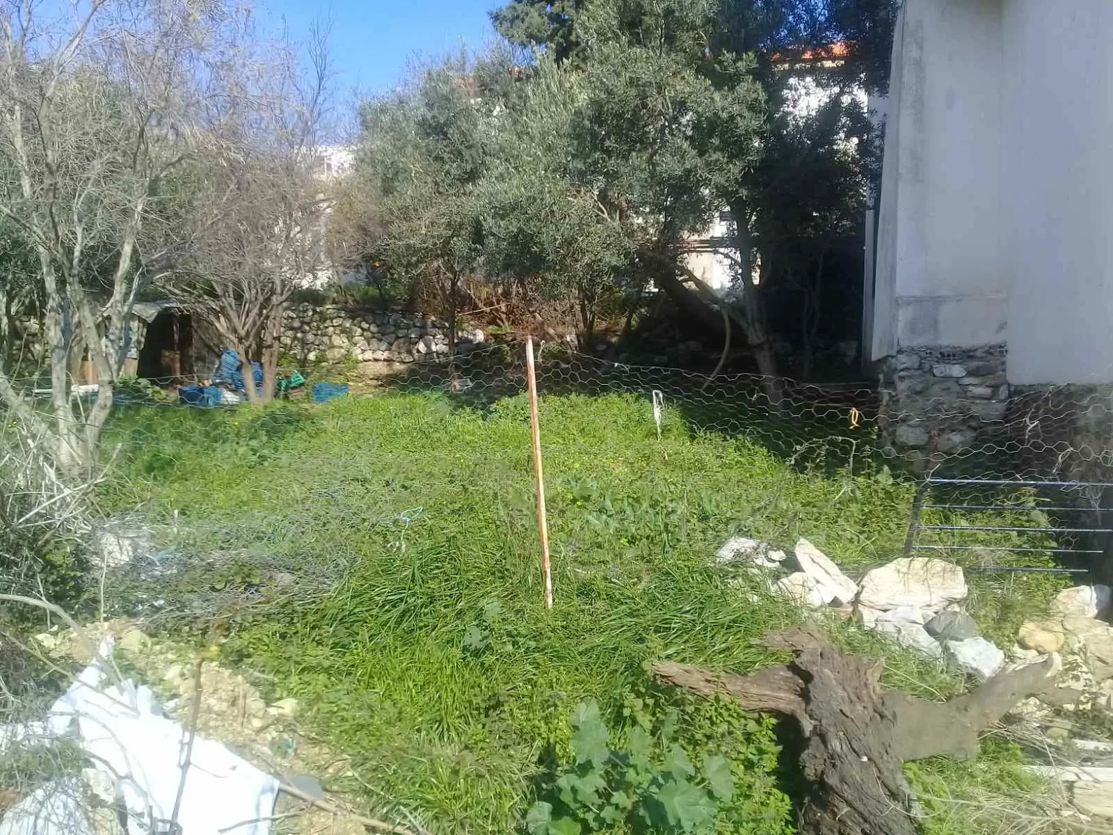 Property image 27