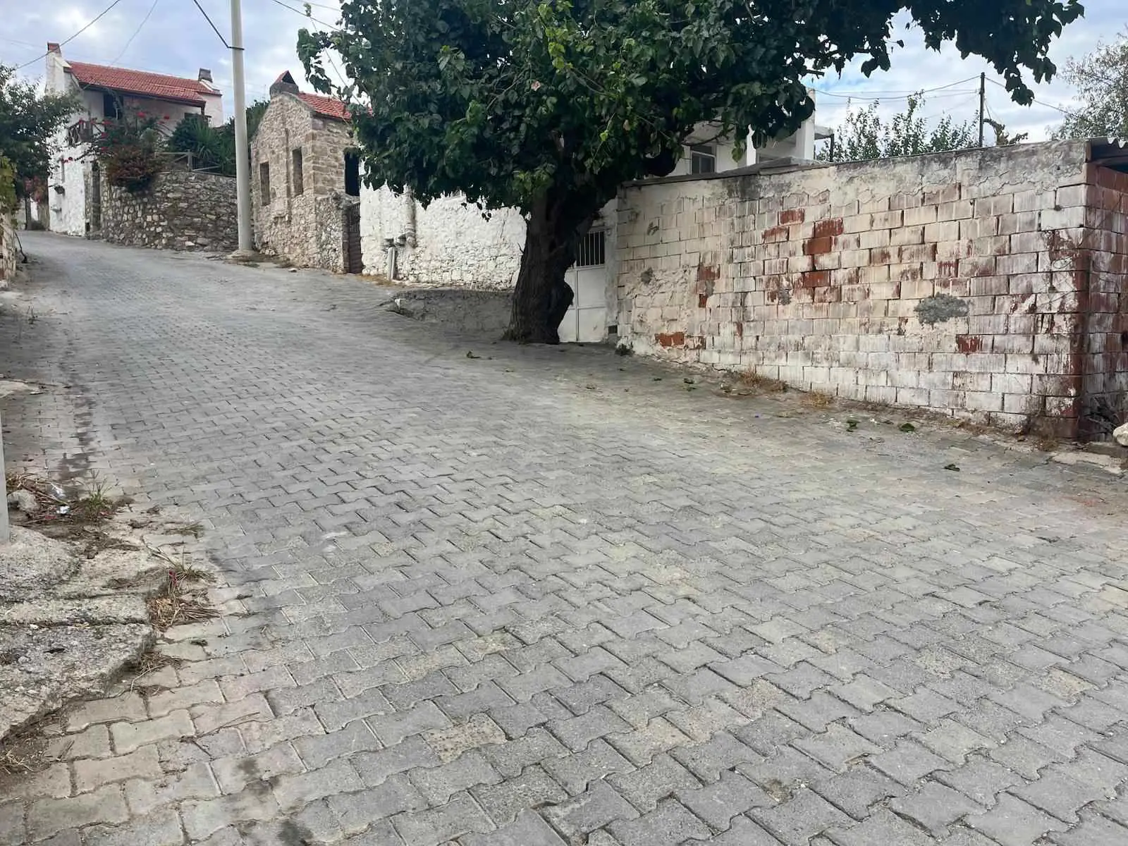Property image 24