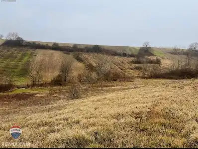 KOCAKAYMAZ'DA MÜSTAKİL PARSEL 1626 M2 TARLA